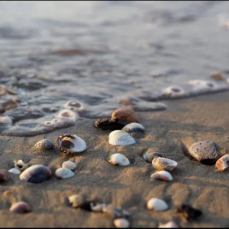 Le Betulle 10 Bibione Winter Relax Vicino Terme Con Wifi E Clima Caldo