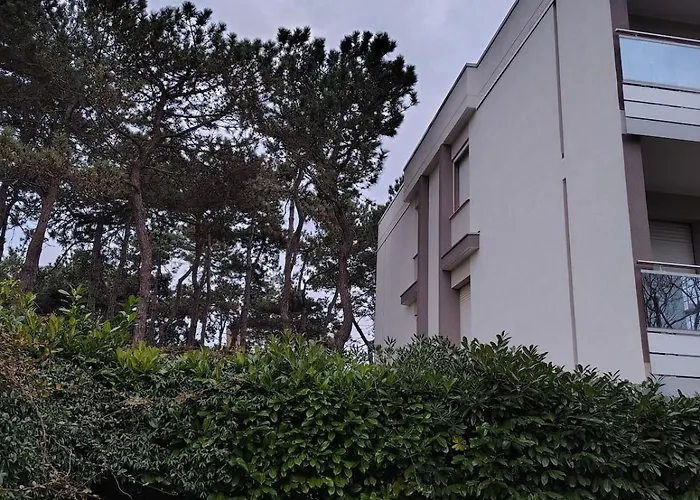 Apartment Appartamento 5 Min Dal Mare Monolocale 